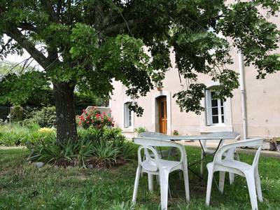 jardin, grand pin, chambre d hote